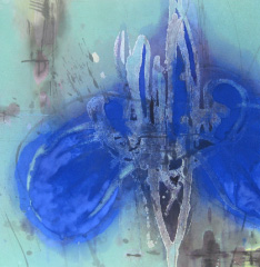 寺門由紀アート展