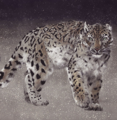 植田一穂日本画展
