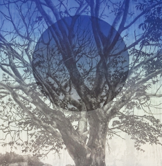 近藤守日本画展