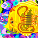 01