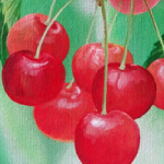 119